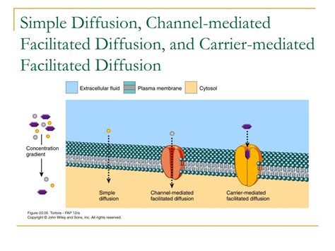 chanel mediated|channel mediated vs carrier.